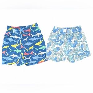 RUGGED BUTTS Bundle of Boys Lined Swim Trunks - 6-12M